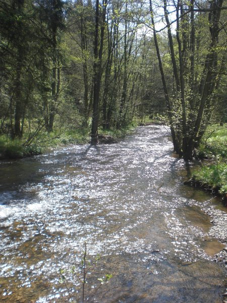 JekaD6OpStapJoost (194)